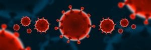 corona, coronavirus, virus
