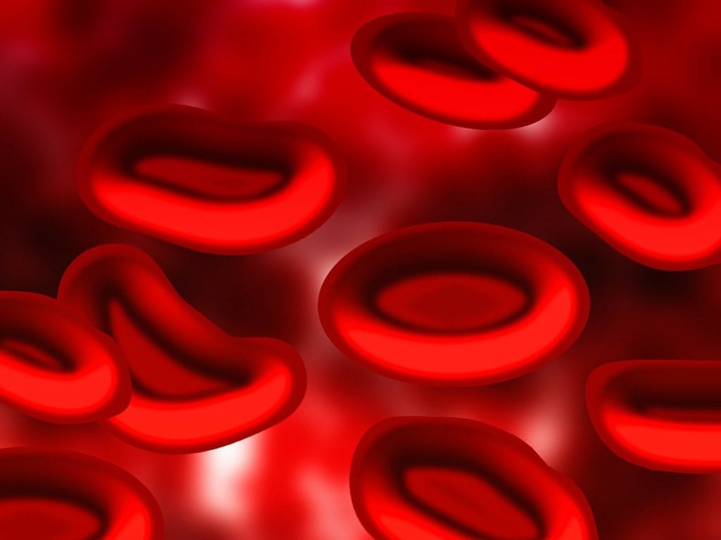 blood, blood plasma, red blood cells