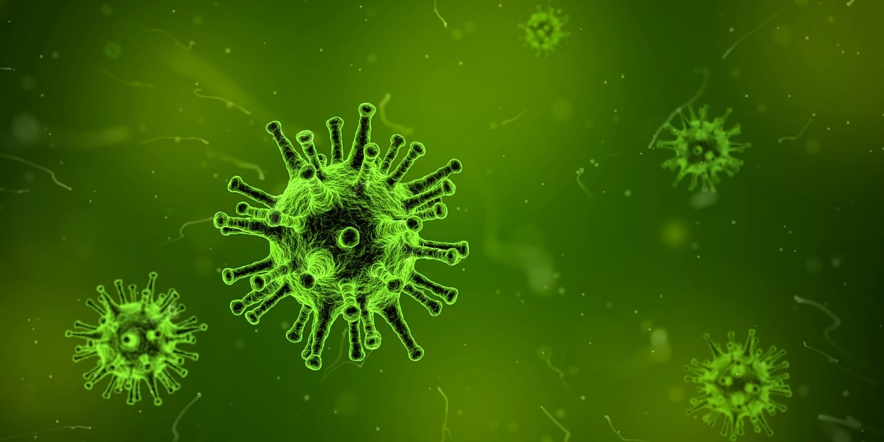 virus, microscope, infection-1812092.jpg